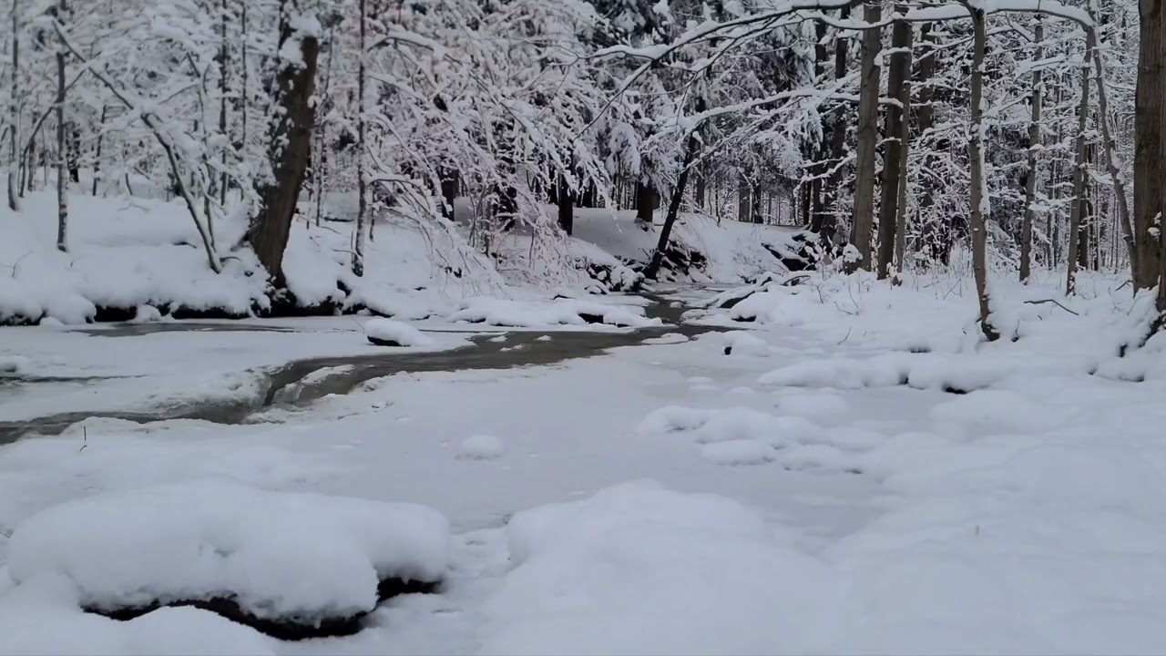 Creek Sounds | Gentle | Peaceful 