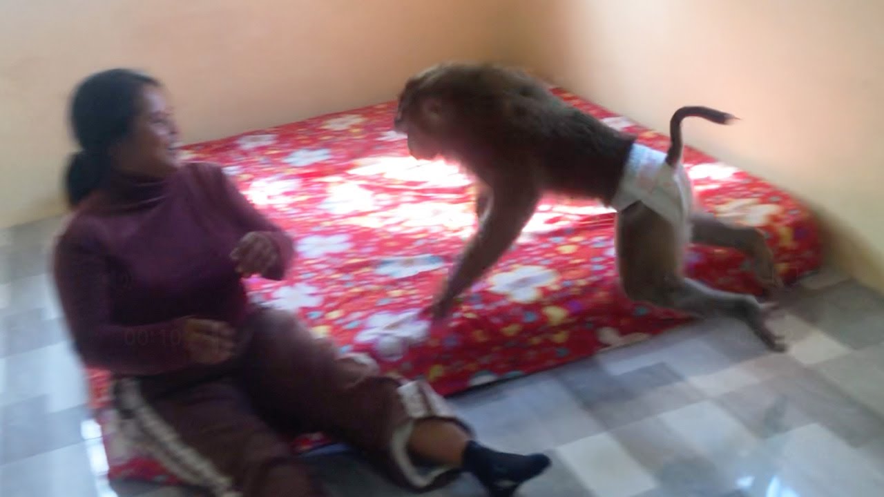 Little Jason Pull Towel Dance To Provoke Delay Mom Sing