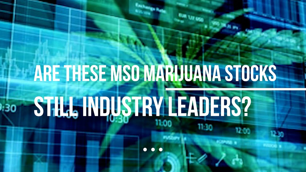 Are These MSO Marijuana Stocks Still Industry Leaders?