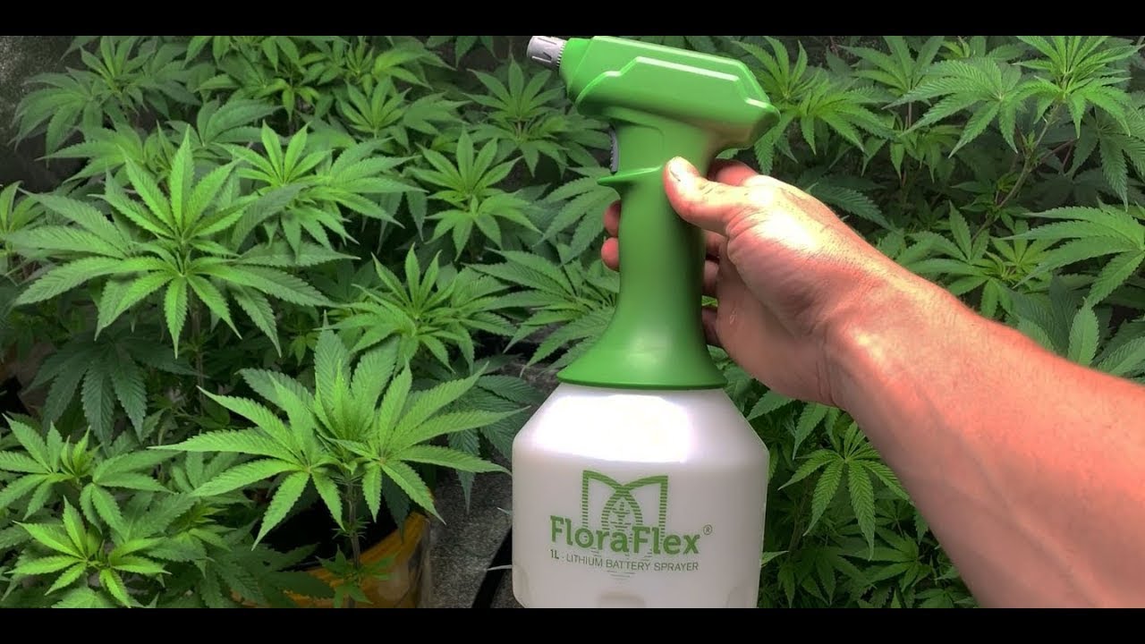 FloraFlex Foliar Feed and Flora Sprayers
