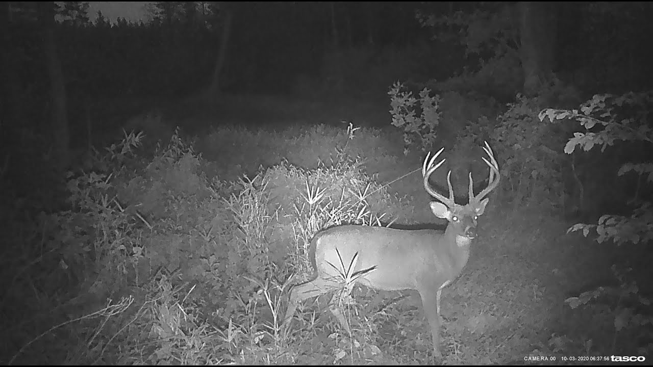 Explore the Wild: Four Myths about Hunting on Wildlife Management Areas