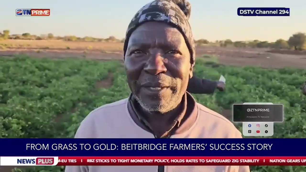 From Grass to Gold : Beitbridge farmers' success story