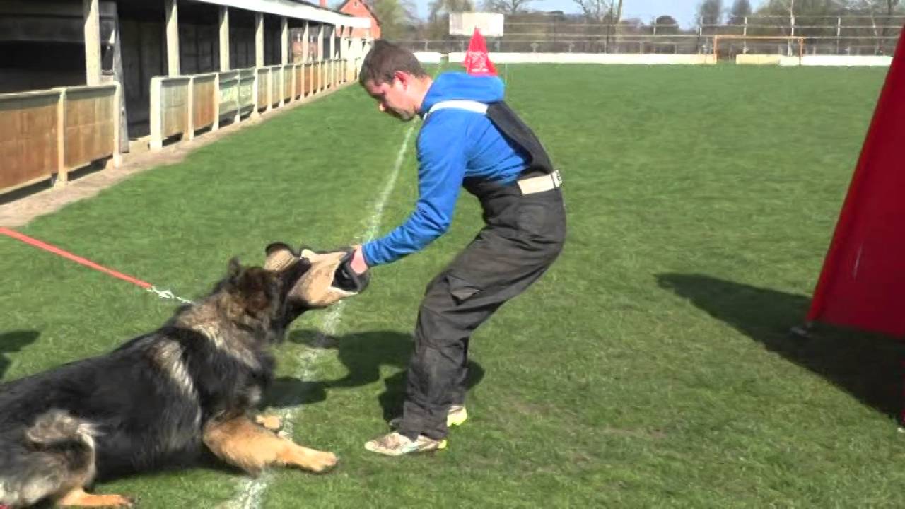 jasper protection 10 04 2016