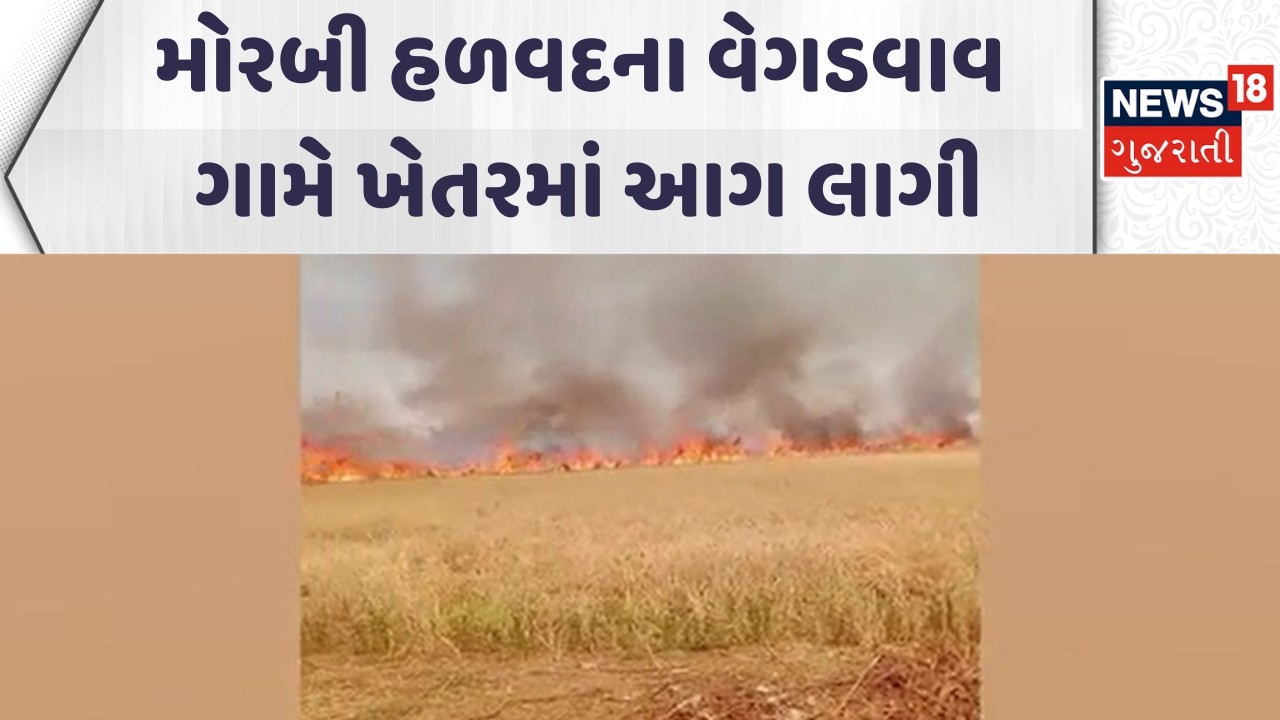 Morbi Fire Incident News | મોરબી હળવદના વેગડવાવ ગામે ખેતરમાં આગ લાગી | Farm | Farmer | News18