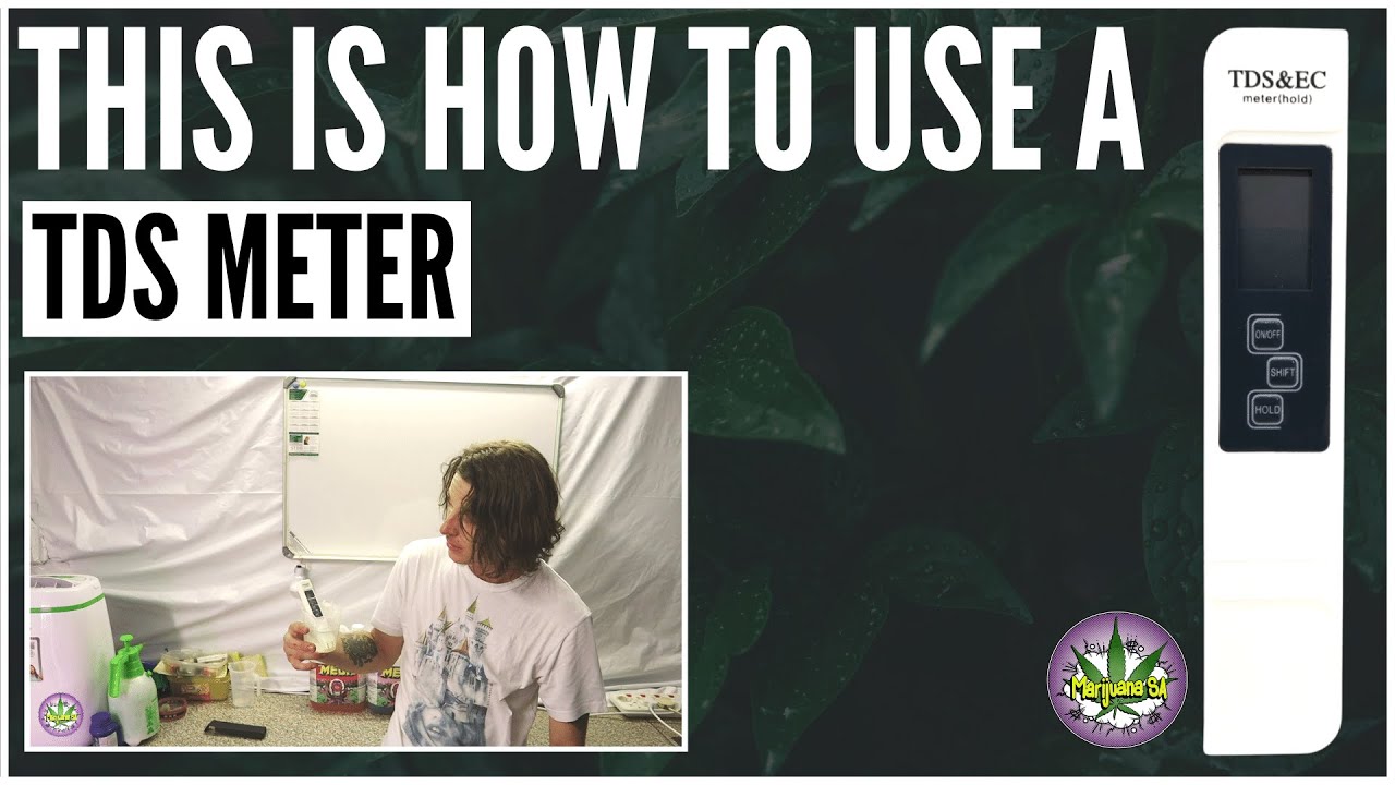 How to test EC for Hydroponics!
