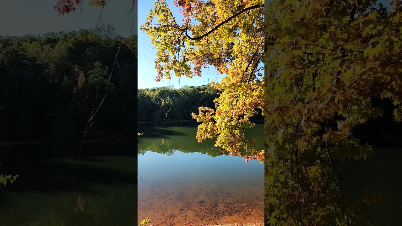 Lake Hartwell State Park Cabin 4 view #camper #outdoors #outdoorlife #lakecamping #campingcabins
