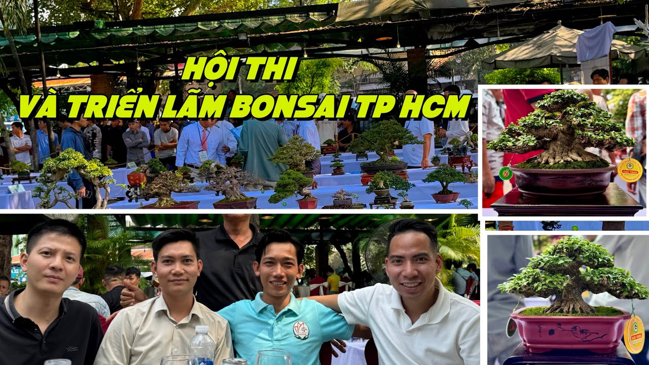 Hội thi và triển lãm Bonsai tp HCM 2025  / nhiều tác phẩm đẹp và ấn tượng #bonsaitree #bonsaiongtre