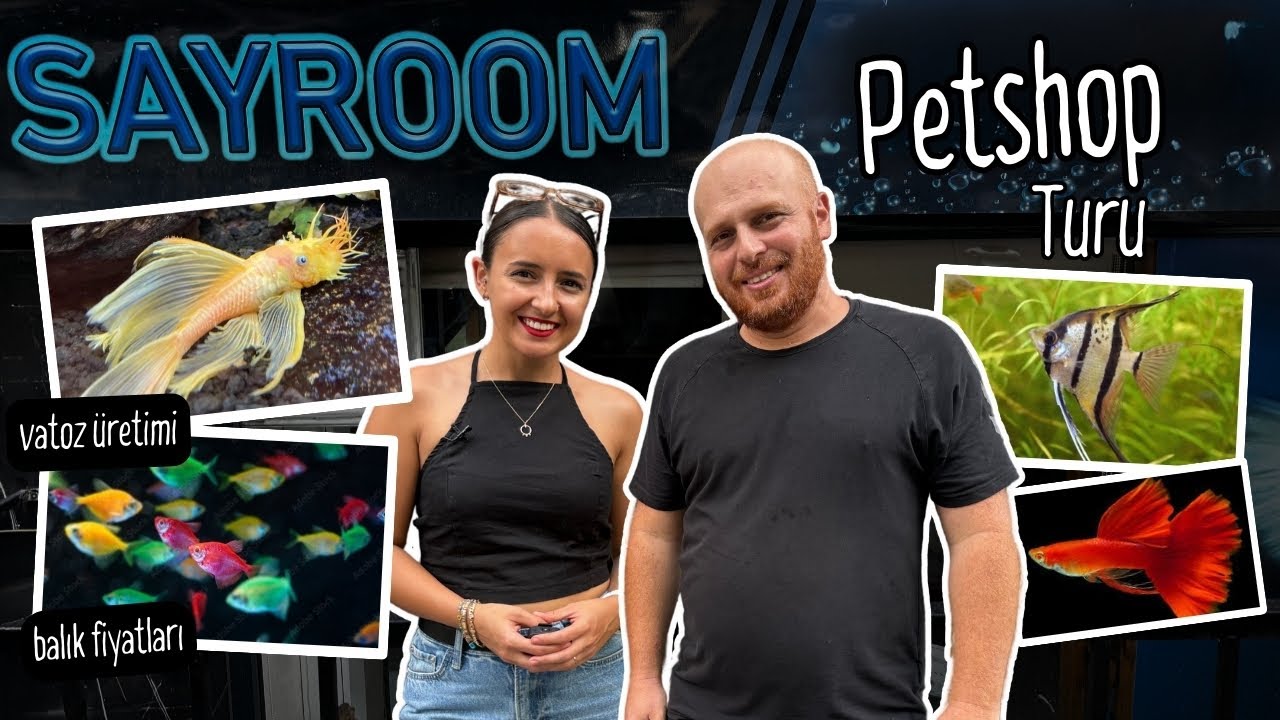 Экскурсия по ферме и зоомагазину Sayroom