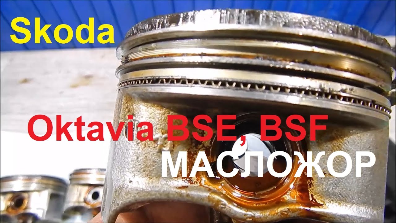 Skoda Octavia 1.6 BSF Большой расход масла. Дефектовка.