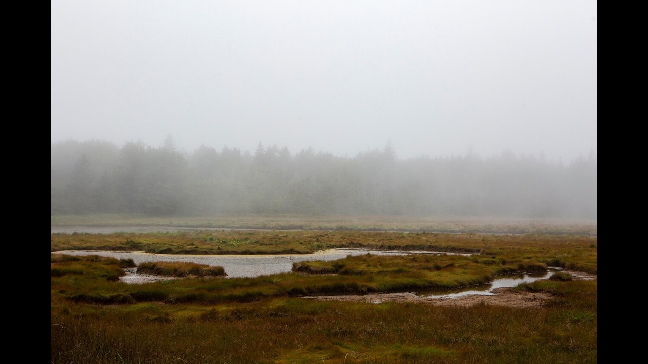 SP26 Project B1 -- Acadia National Park