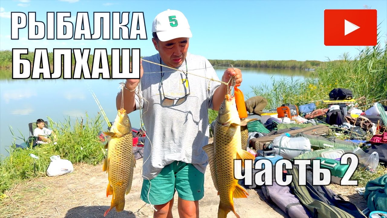 РЫБАЛКА МЕЧТЫ НА БАЛХАШЕ —САЗАН ЗА САЗАНОМ, КОРЕЙСКАЯ КУХНЯ И МОРЕ ПОЗИТИВА АВГУСТ 2025 ЧАСТЬ2