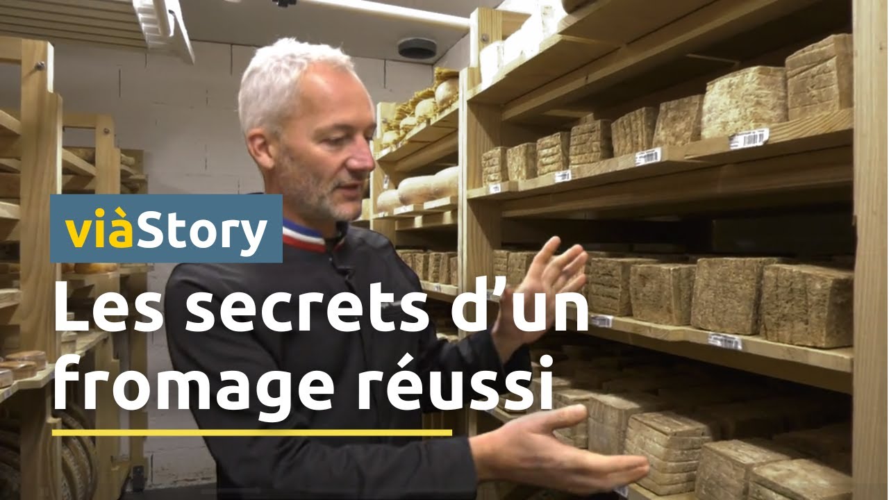 Plongez au c&oelig;ur d'une cave d'affinage