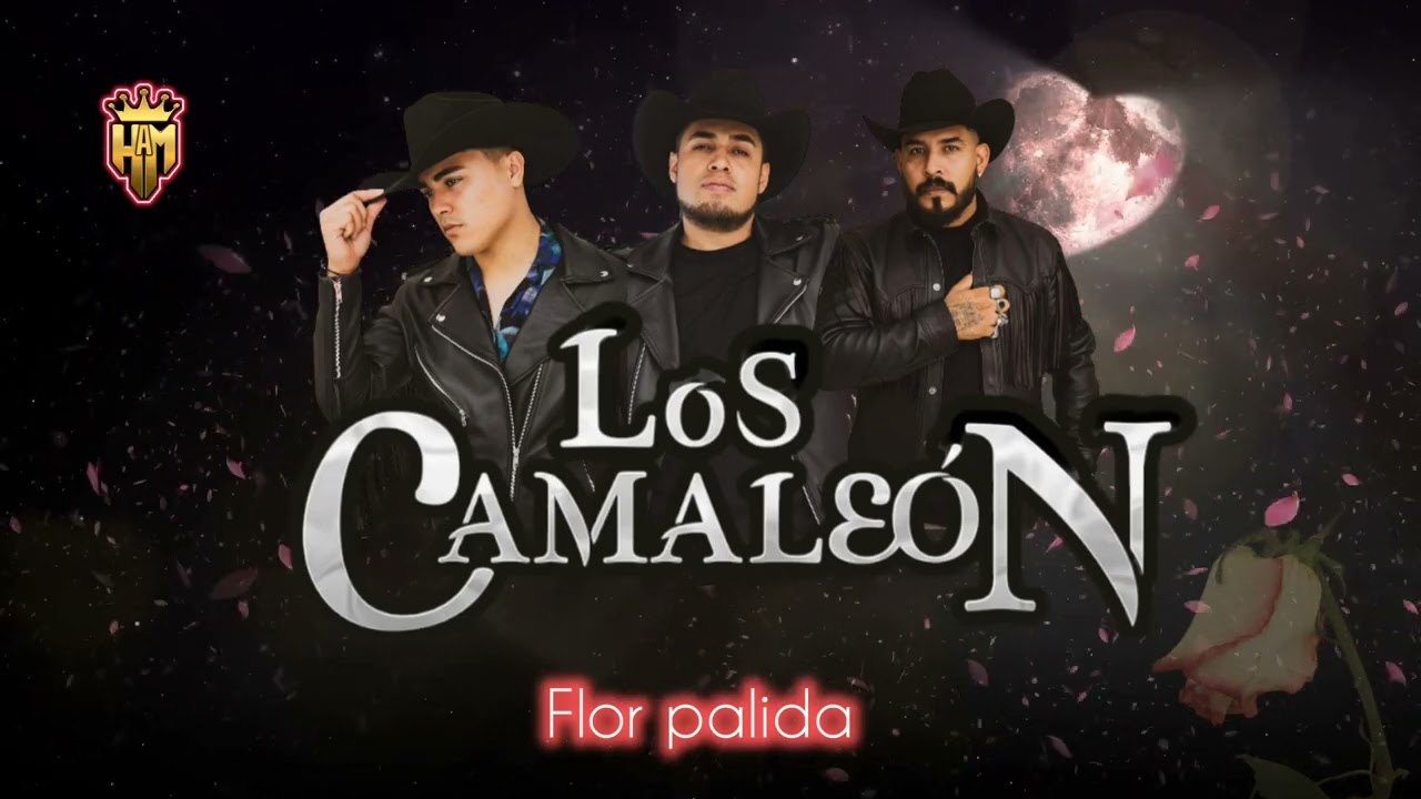 trio Los Camaleón// Flor palida