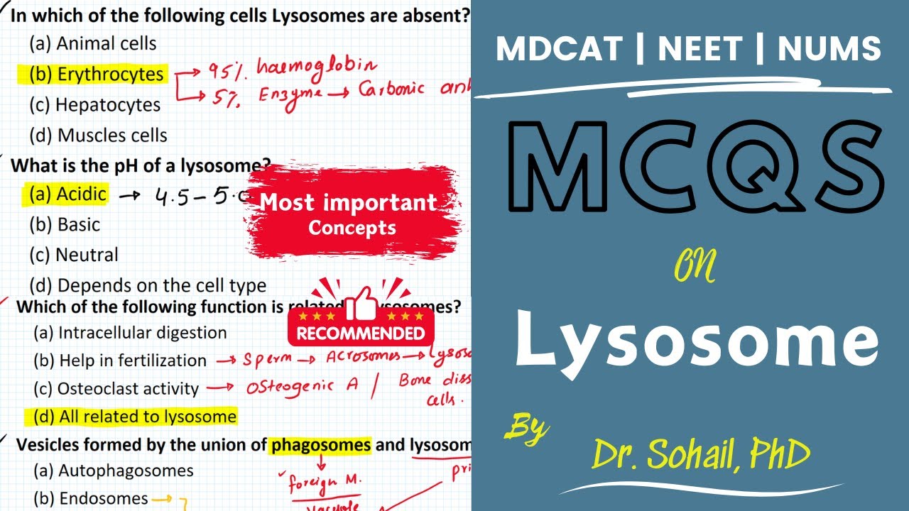 MCQS on Lysosomes | MDCAT | NUMS | ETEA | JSMU | BUMHS