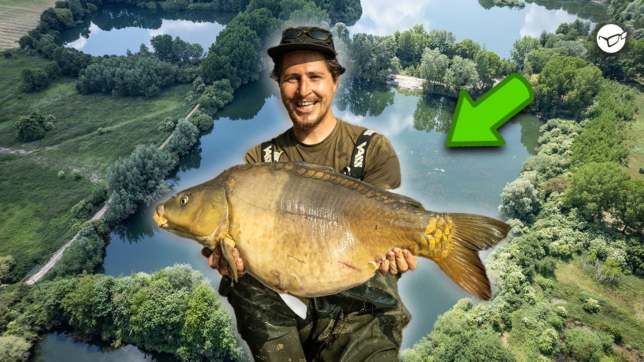 Karpfenangeln an stark verkrauteten Gewässern - Andreas Hetzmannseder in der Carp Arena 🇧🇪