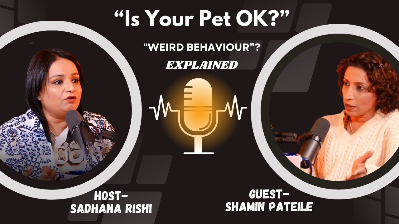 Is Your Pet Behaving Weirdly? Holistic Secrets for a Happy Pet!