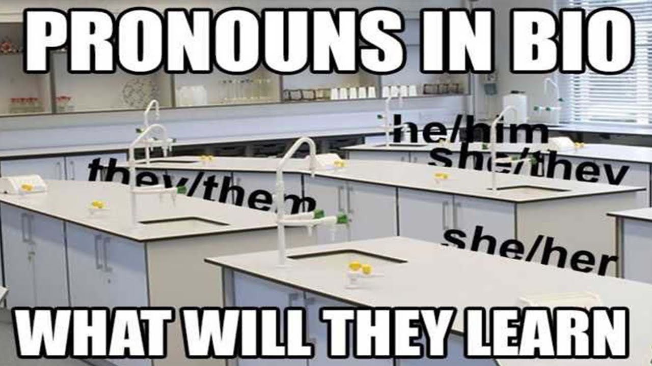 r/Surrealmemes | наконец-то, местоимения в биографии