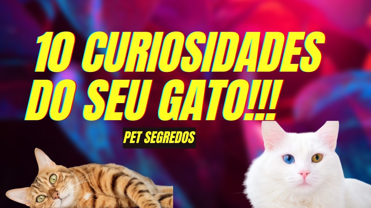 10 Coisas Sobre Gatos Que Parecem Mentira, Mas São Reais!!!