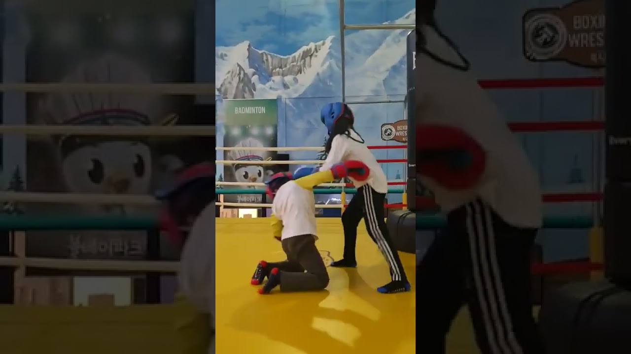 격투시합채연승