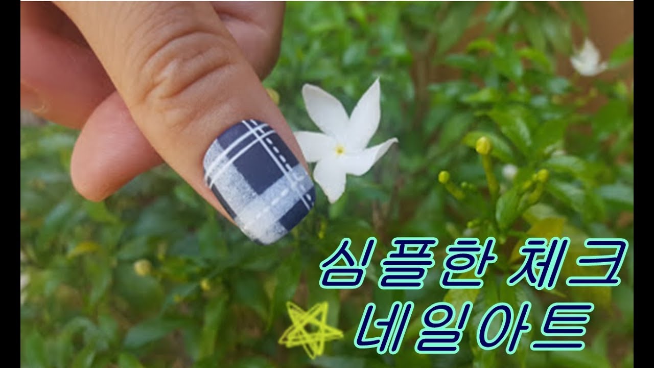 [러블리 네일]  체크 네일아트 / Check Pattern Nail Art