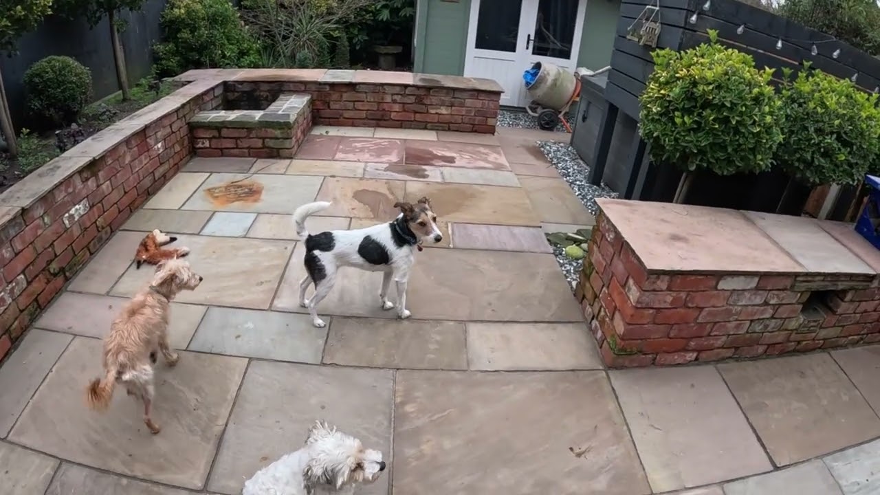 Intro @aviewfromwithin