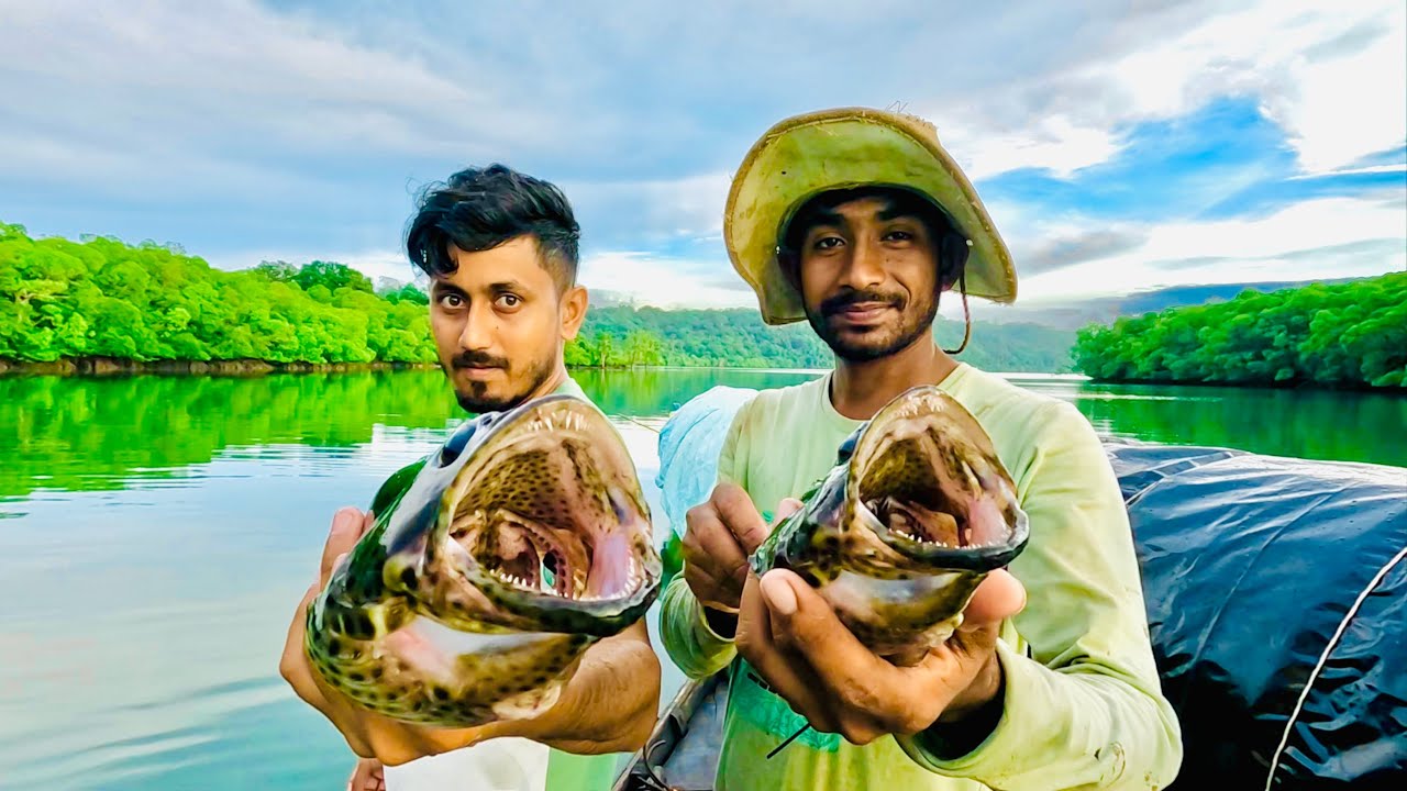 জোড়া Grouper Fish সাথে চিংড়ি মাছ ধরলাম @ANDAMAN_HUNTERS 