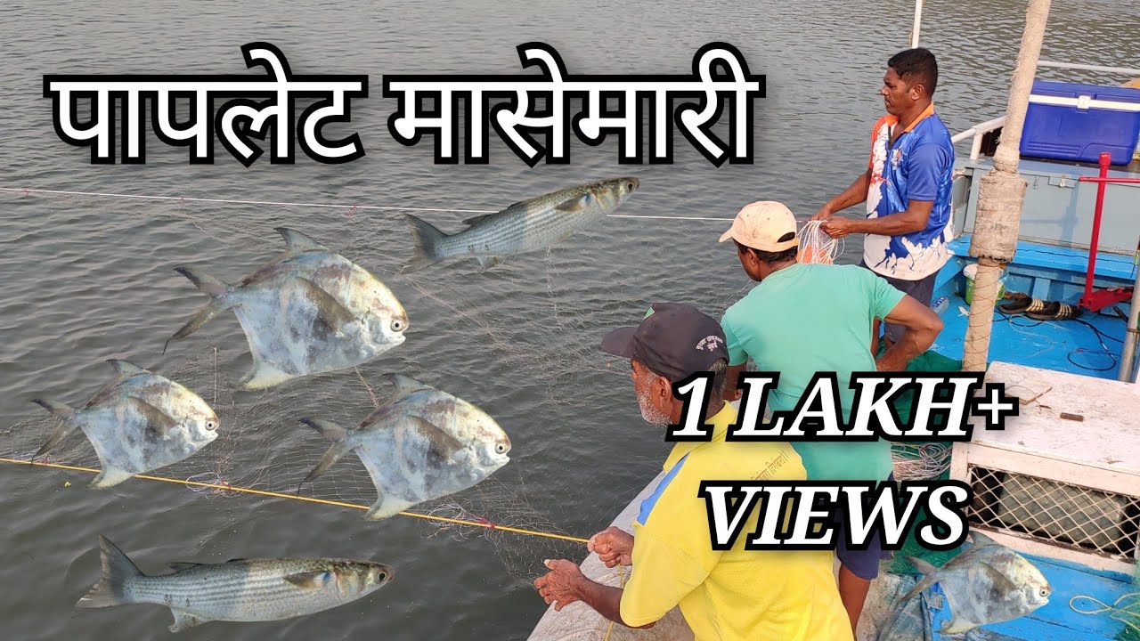 बाणकोट खाडीत गेलो पापलेट पकडायला.भेटले मोठे मोठे पापलेट🐟|Pomfret fishing|#papletfish #fishing #kokan