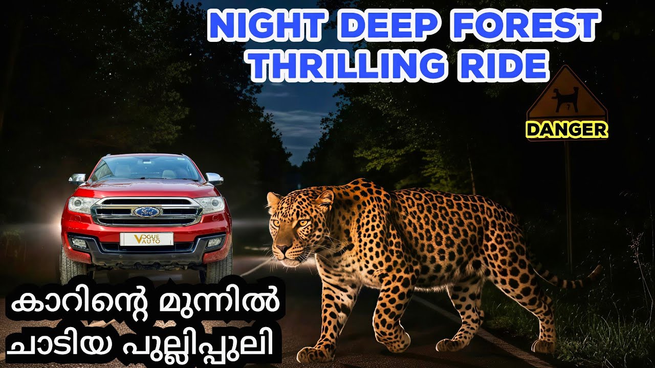 🐾അപകടം നിറഞ്ഞ ചുരം.... വന്യജീവികൾ നിറഞ്ഞ വനം🐆🐃🐘🌿