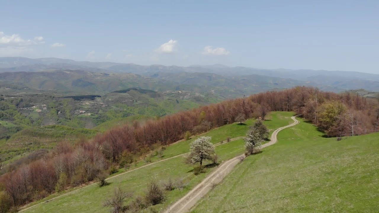 Planina Lepa gora