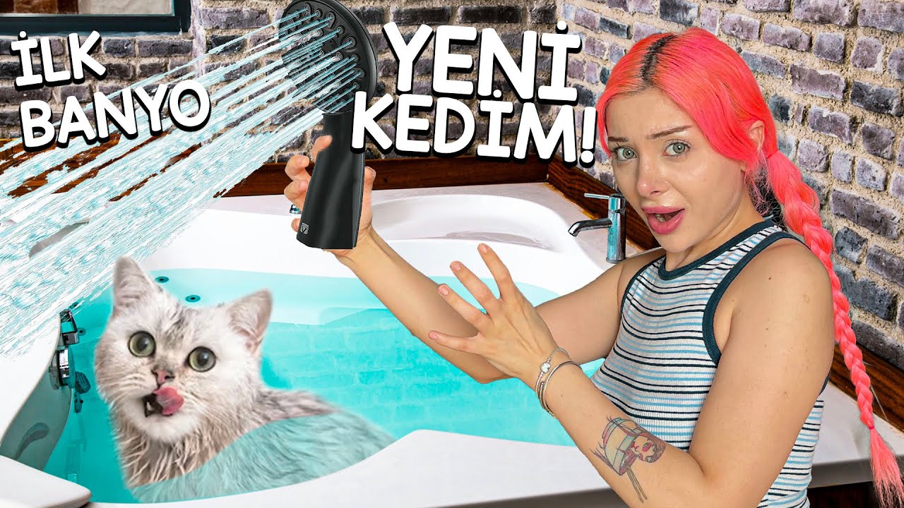 YENİ KEDİMİN İLK  BANYOSUNU YAPTIRDIM ! *Çok Tatlı* 3 KEDİLİ EV