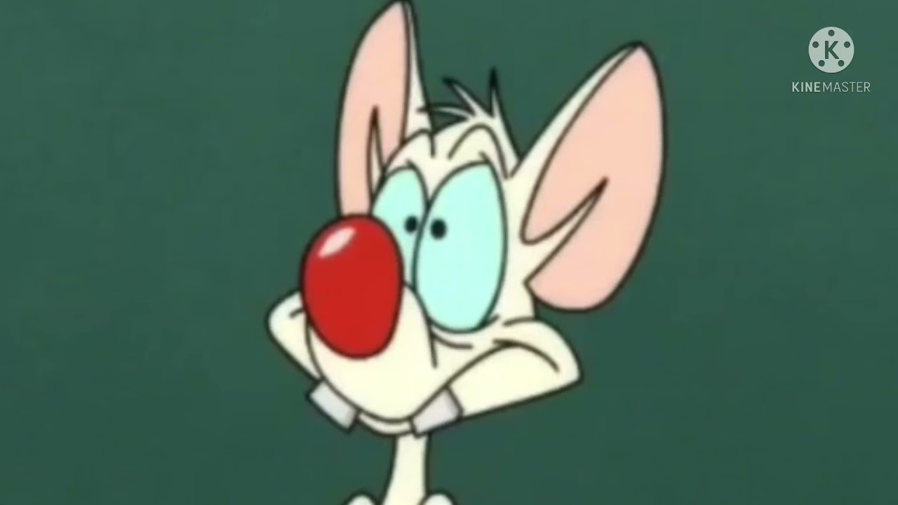 Pinky and the Brain stealing my Heart for 2.4 minutes (SEASON 2)