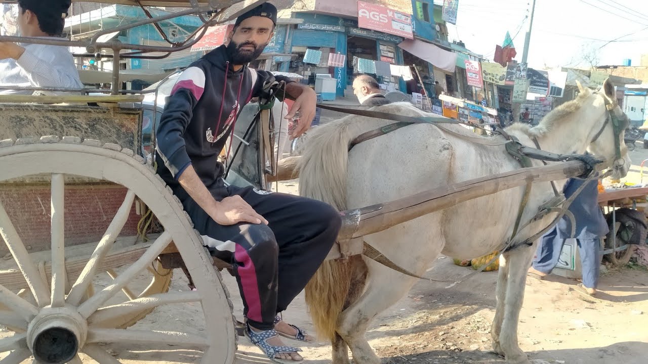 tanga per baithkar 🤩 Safar karenge gaon mein abhi bhi tange chalte Hain 2024 Pind ka mahaul vlogs