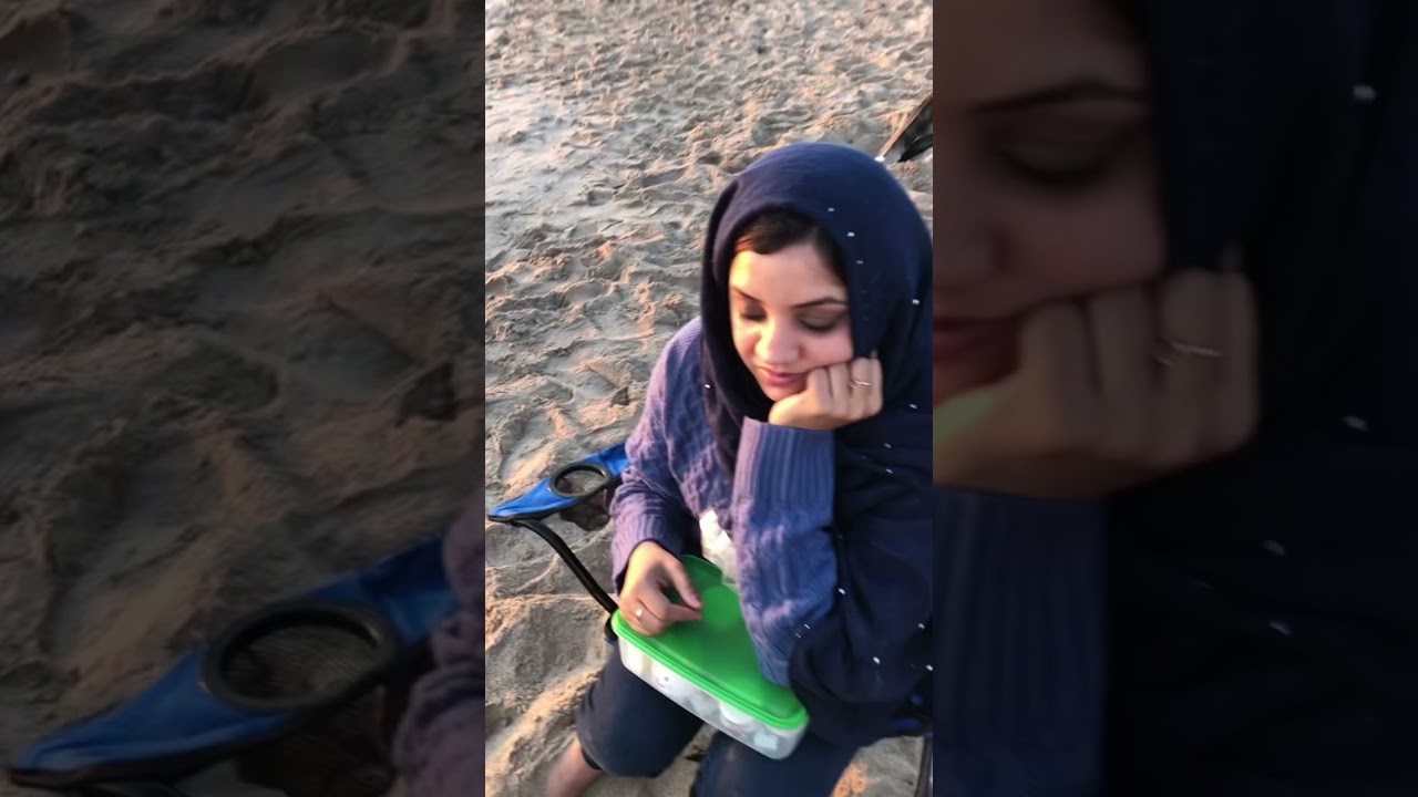 Overnight camping on beach | Dibba Fujairah UAE 🇦🇪