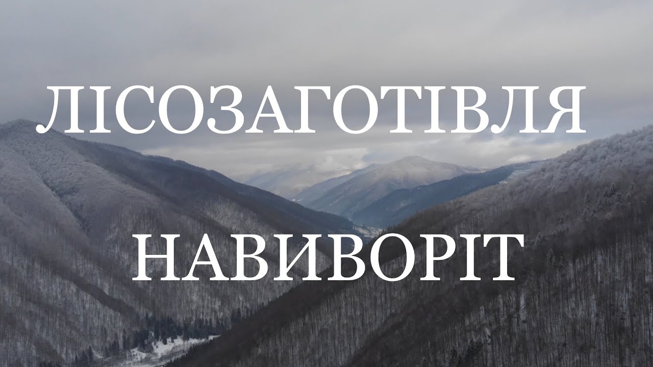 Лісозаготівля навиворіт. Як закарпатські лісівники займаються заготівлею деревини.