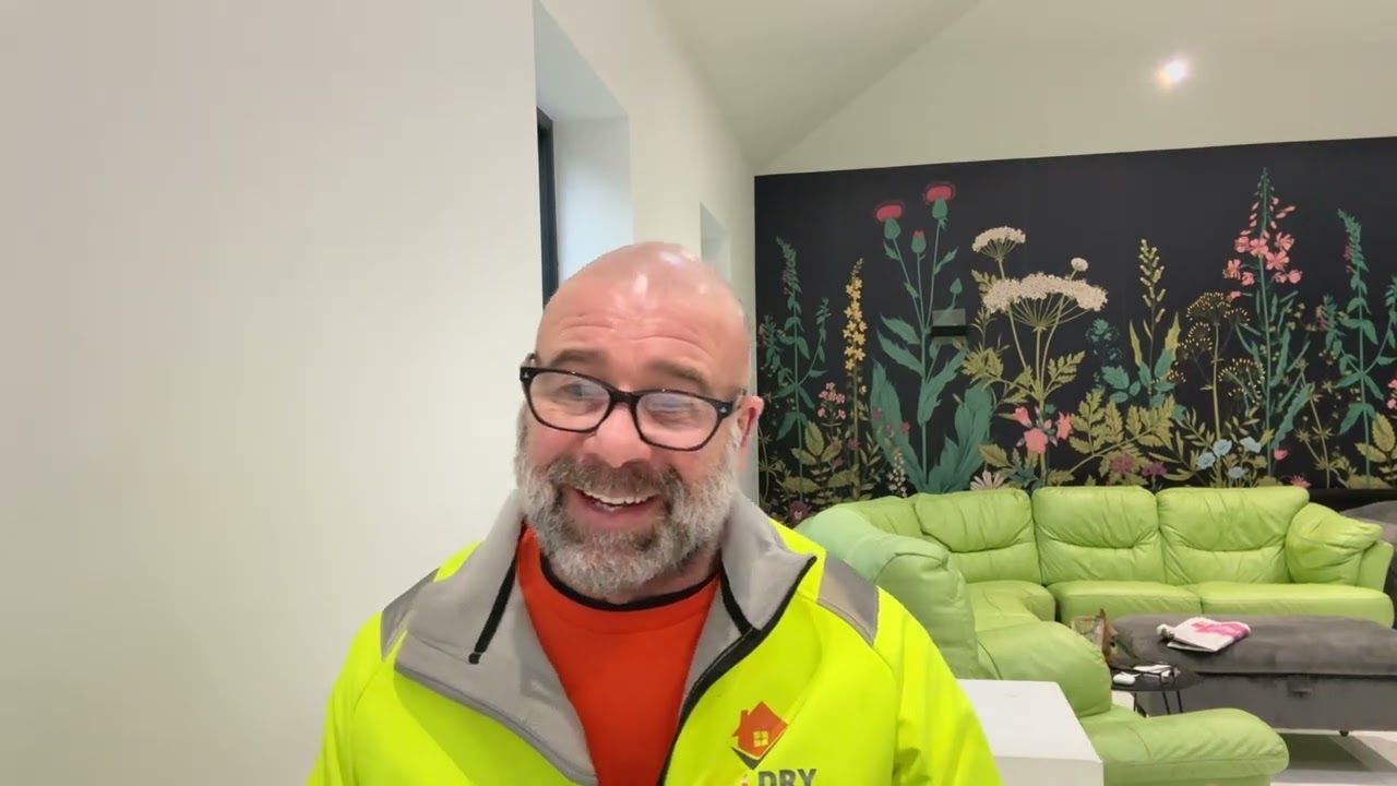 This Weeks Damp News 