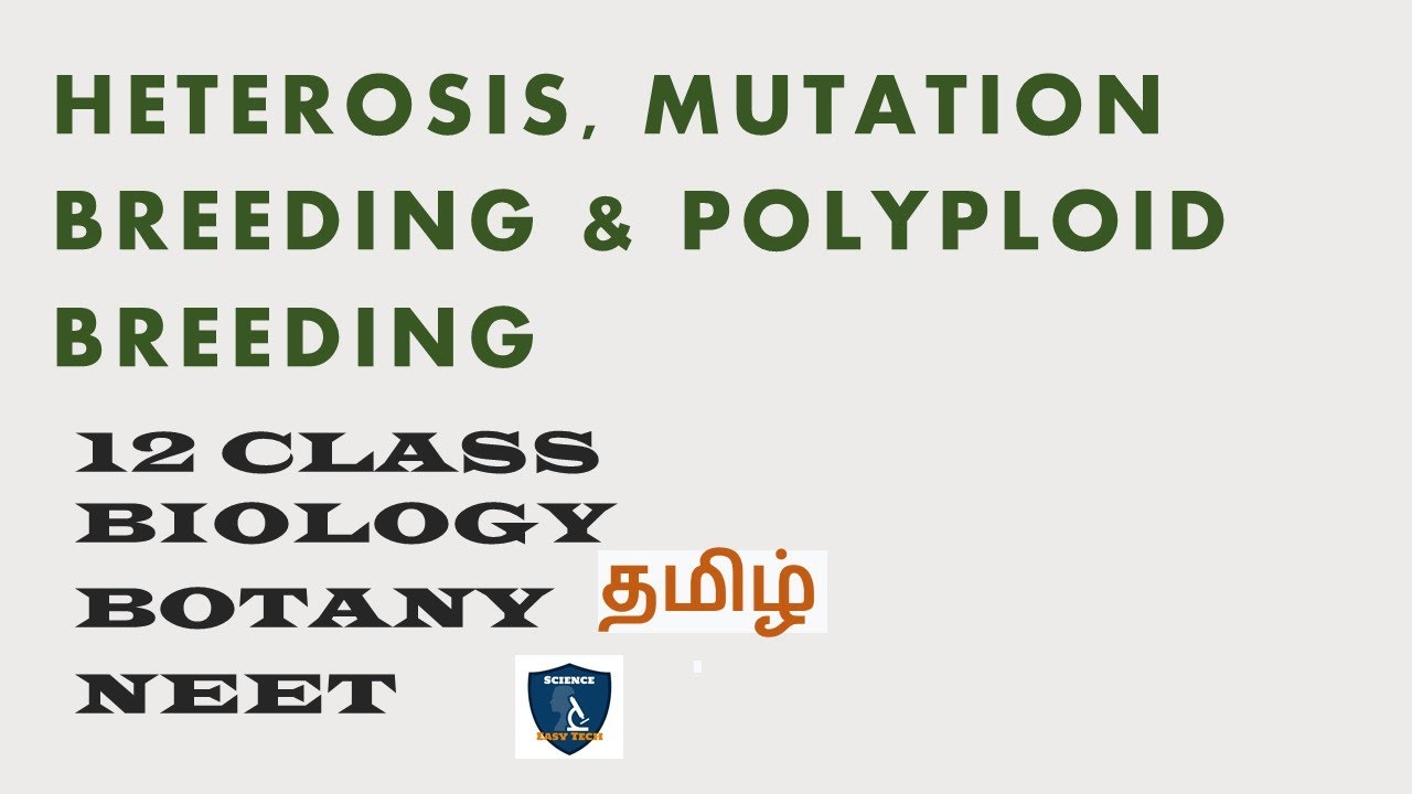 Heterosis, Mutation Breeding & Polyploid Breeding in Tamil | Plant Breeding I  Botany | Class 12
