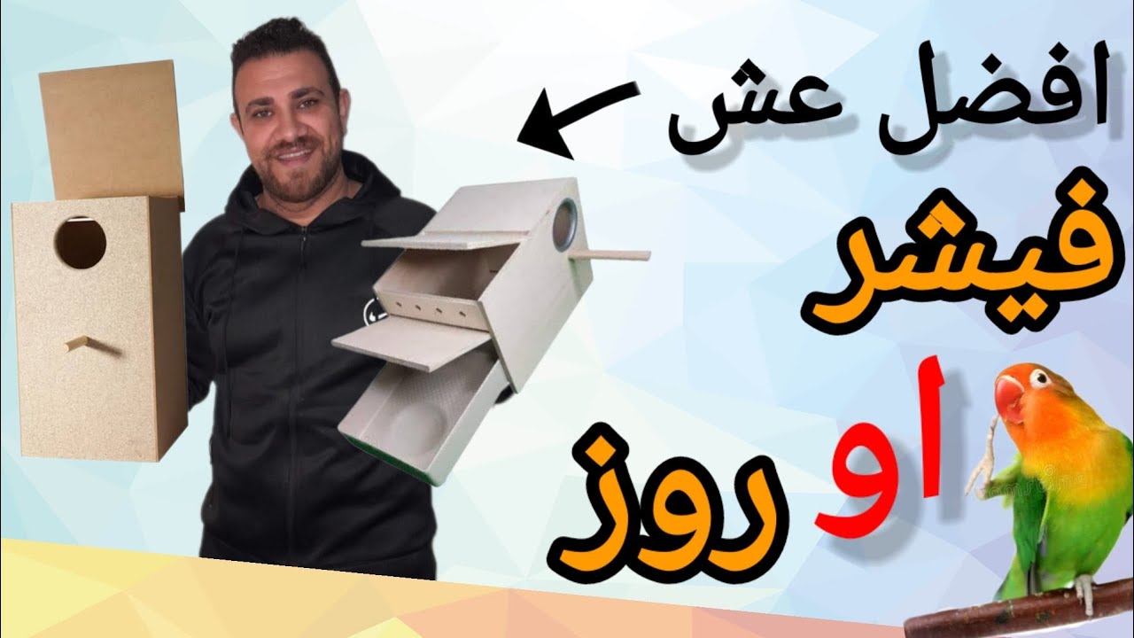 افضل عش لإنتاج طيور الحب روز فيشر👍 سر نجاح الانتاج 👌
