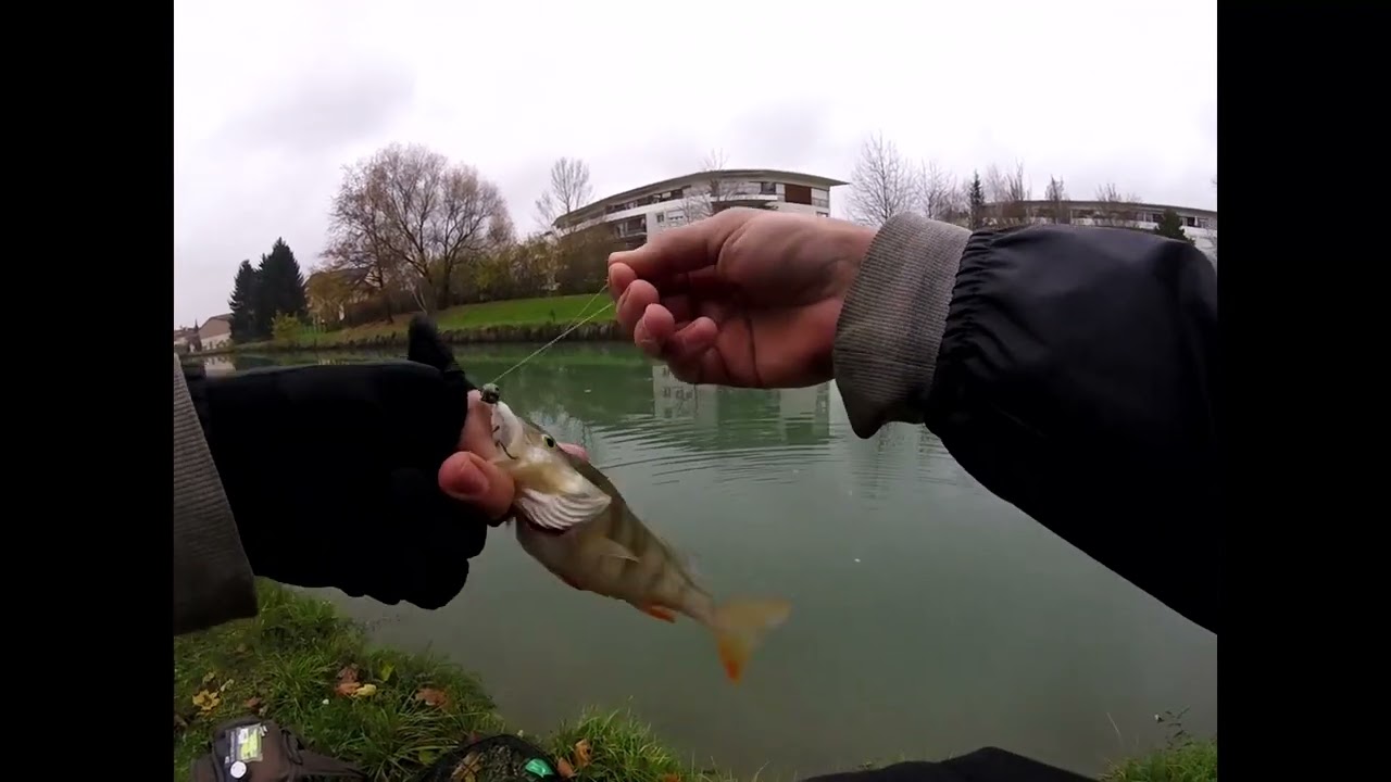 PECHE EN CANAL