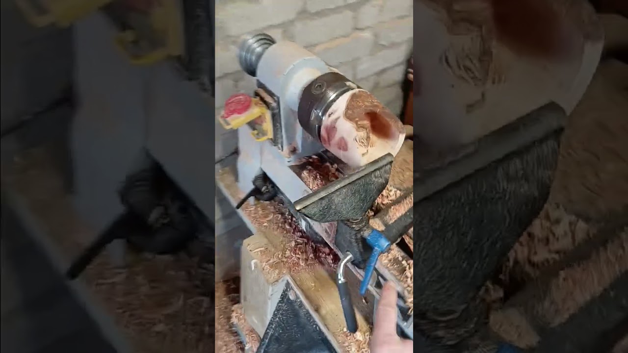 This Broken Log Turned Into Something Amazing