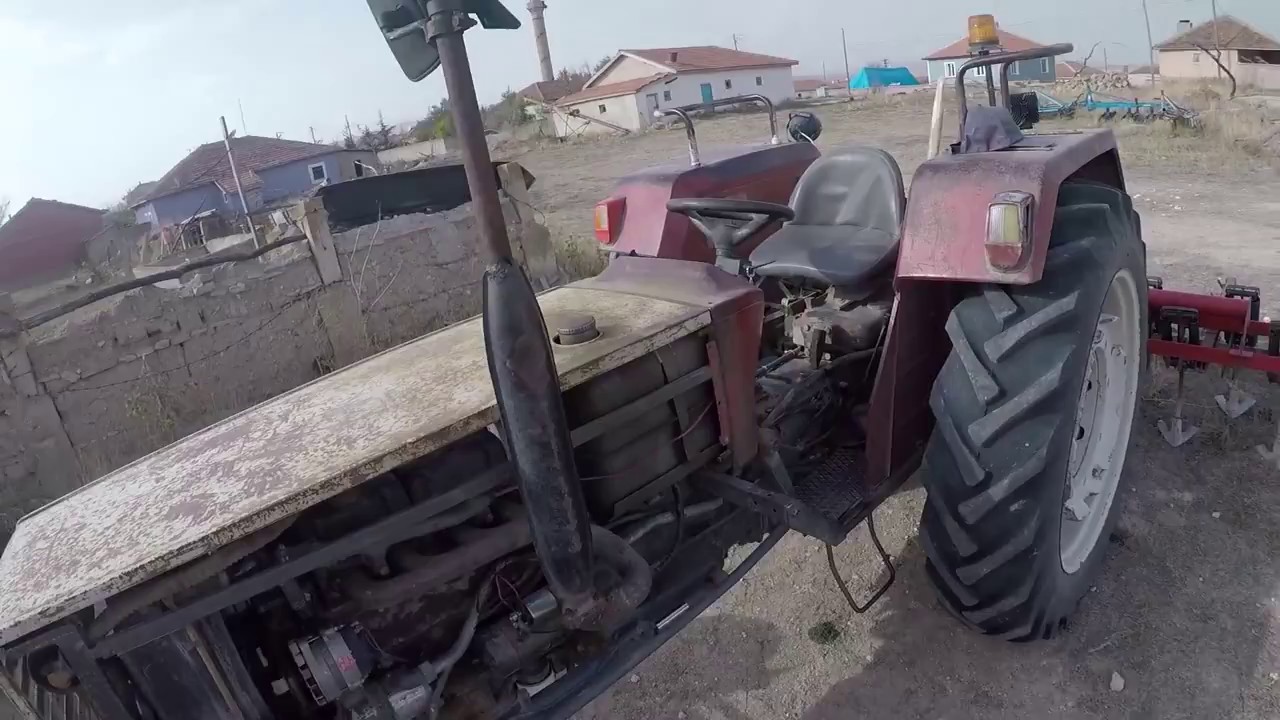STEYR 768 Çelmak 13'lü Kazayağı ile Ayçekirdek yeri