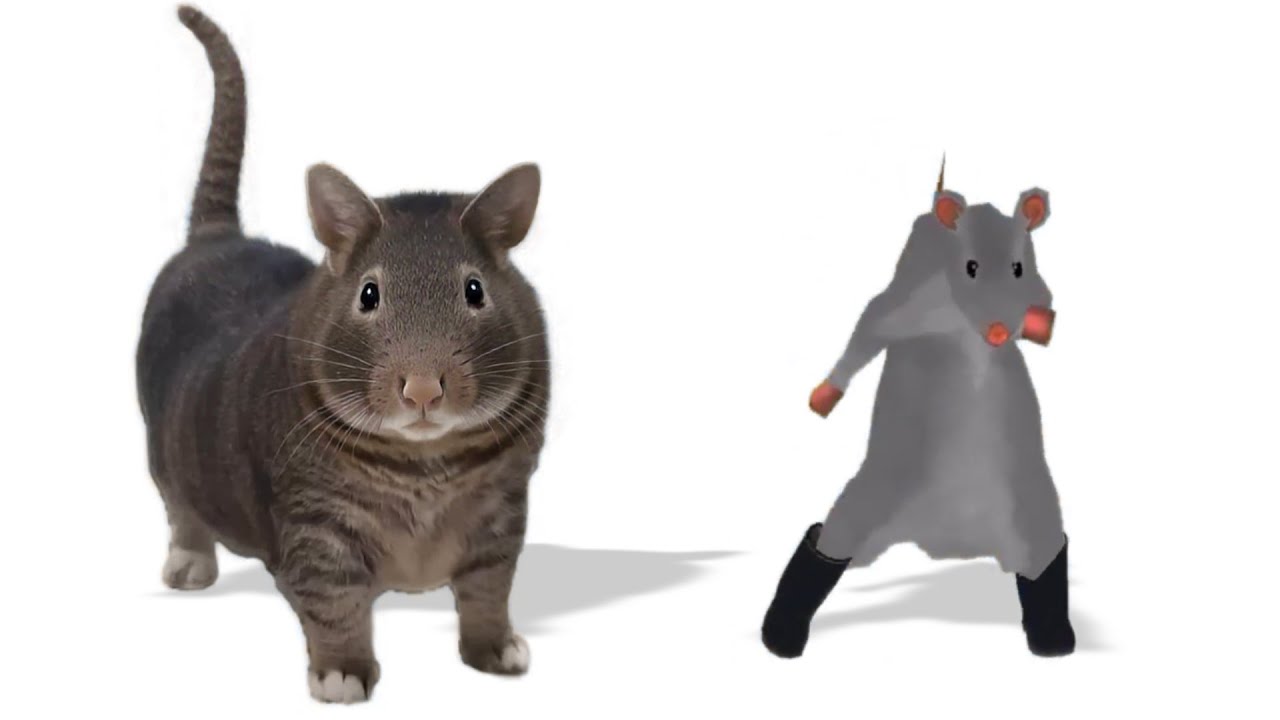 OIIAOIIA CAT x RAT DANCE (Chess Type Beat)