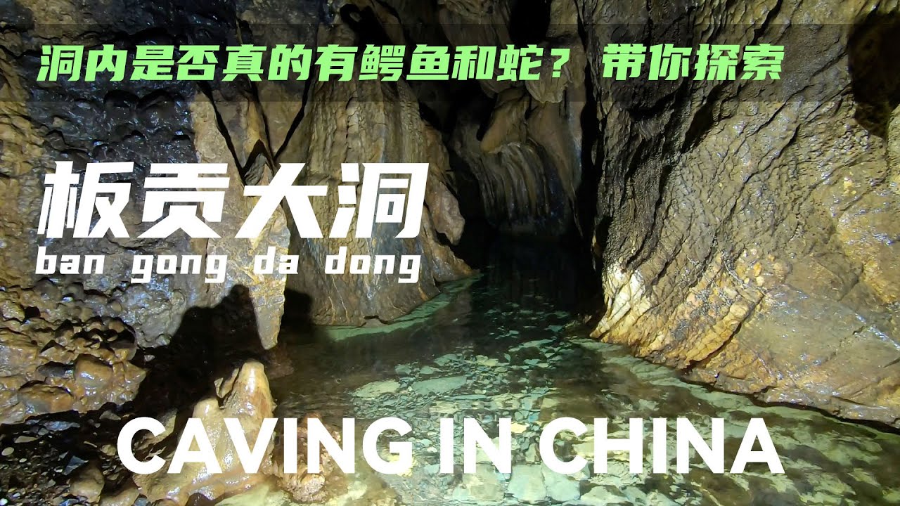 当地人一直对洞穴里有大型生物深信不疑，今天就带他进去看看#caving