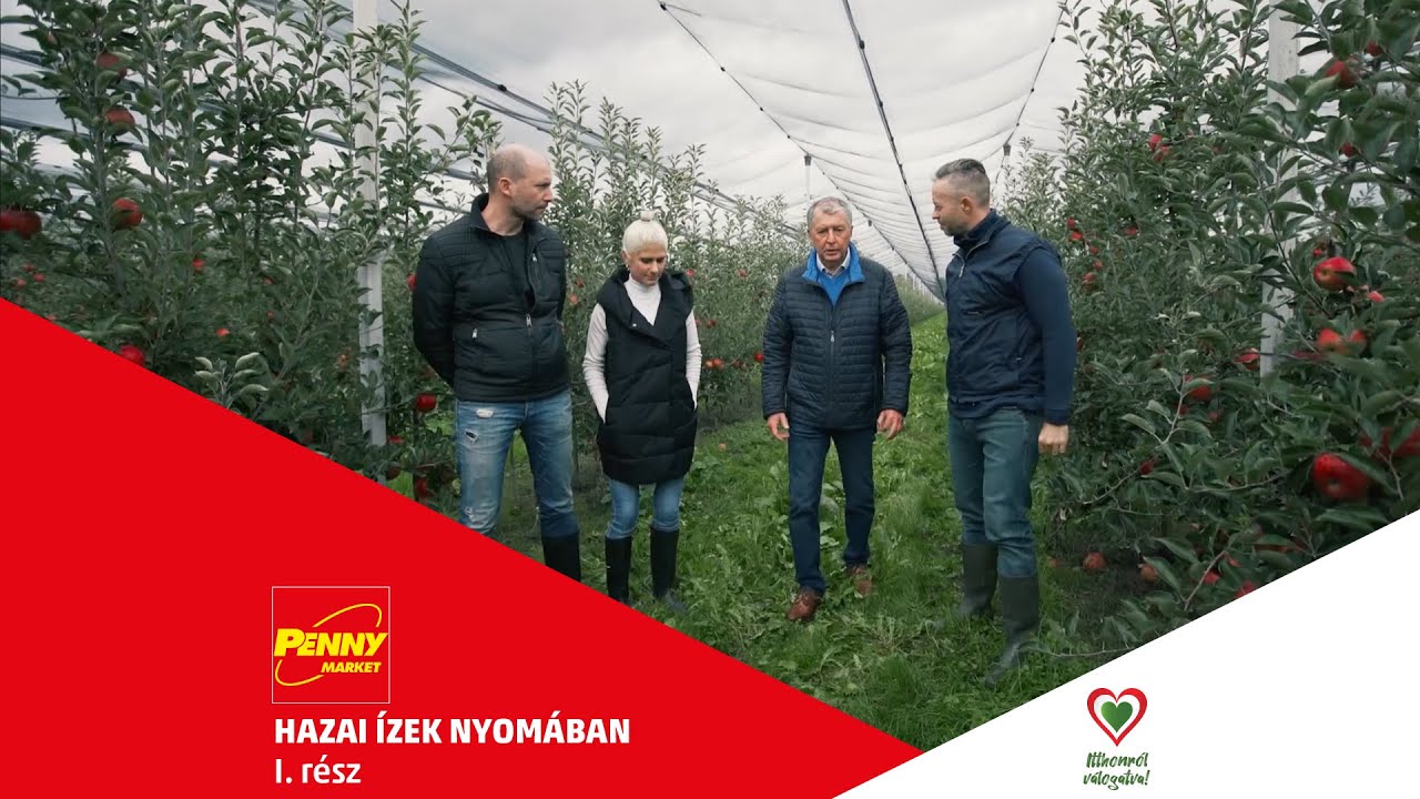 Almarégió – Ismerje meg a PENNY magyar termelőit a legújabb videósorozatunkon keresztül!