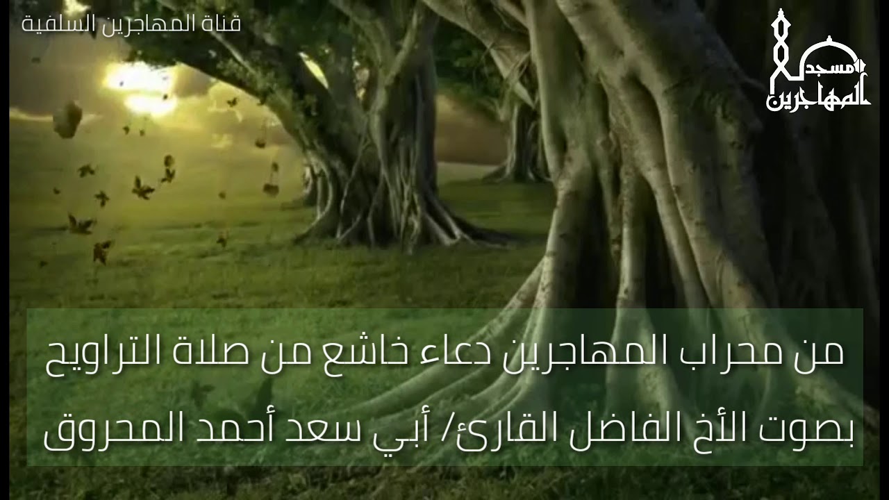 من محراب المهاجرين دعاء خاشع من صلآة التراويح بصوت القارئ/ أبي سعد أحمد المحروق.