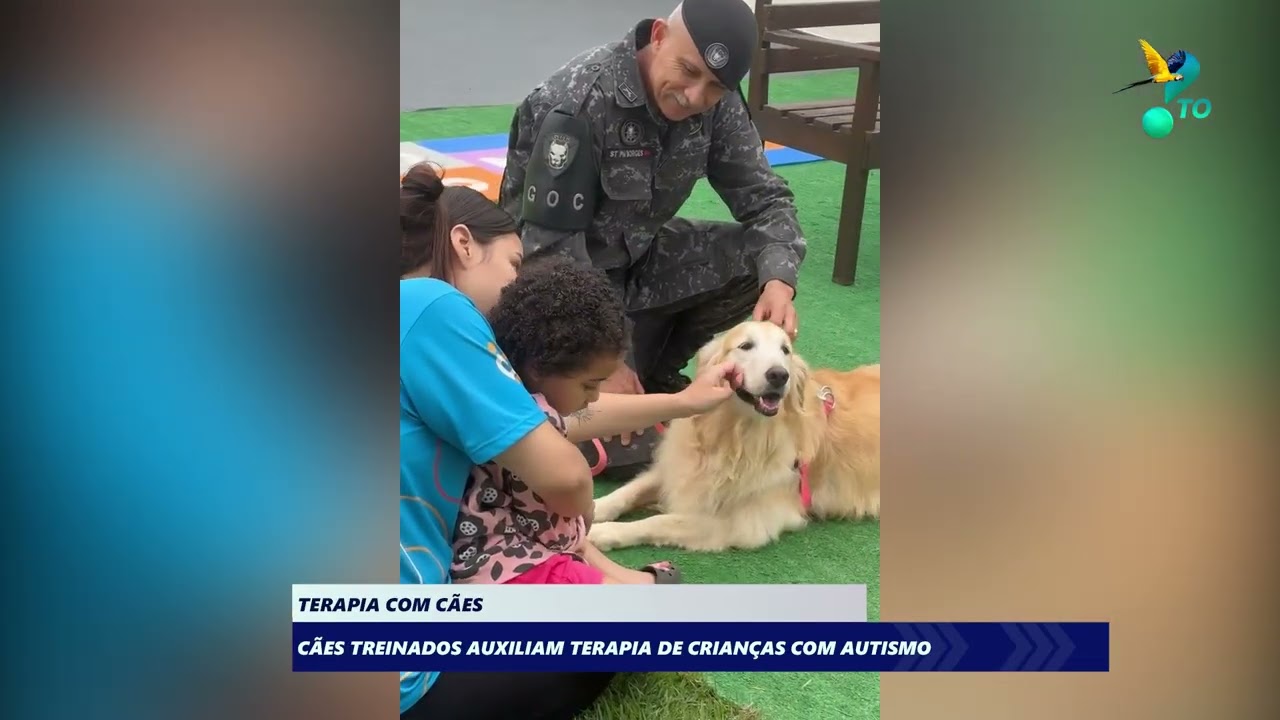 Terapia com cães
