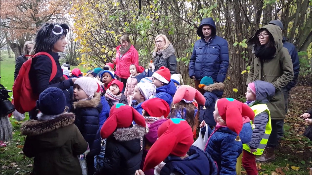 Herfstwandeling : Vrije Basisschool Sint-Franciscus Evergem