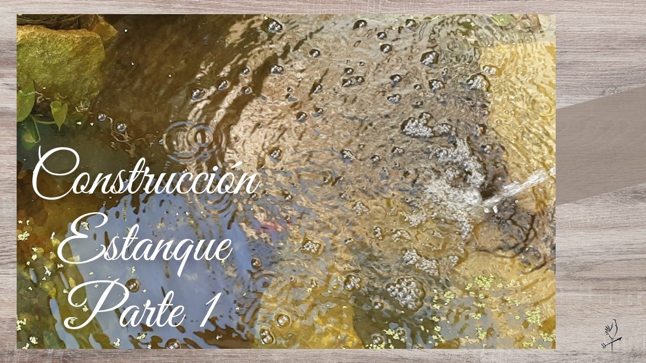 Construyo el #ESTANQUE de cemento de MIS SUEÑOS!🐠