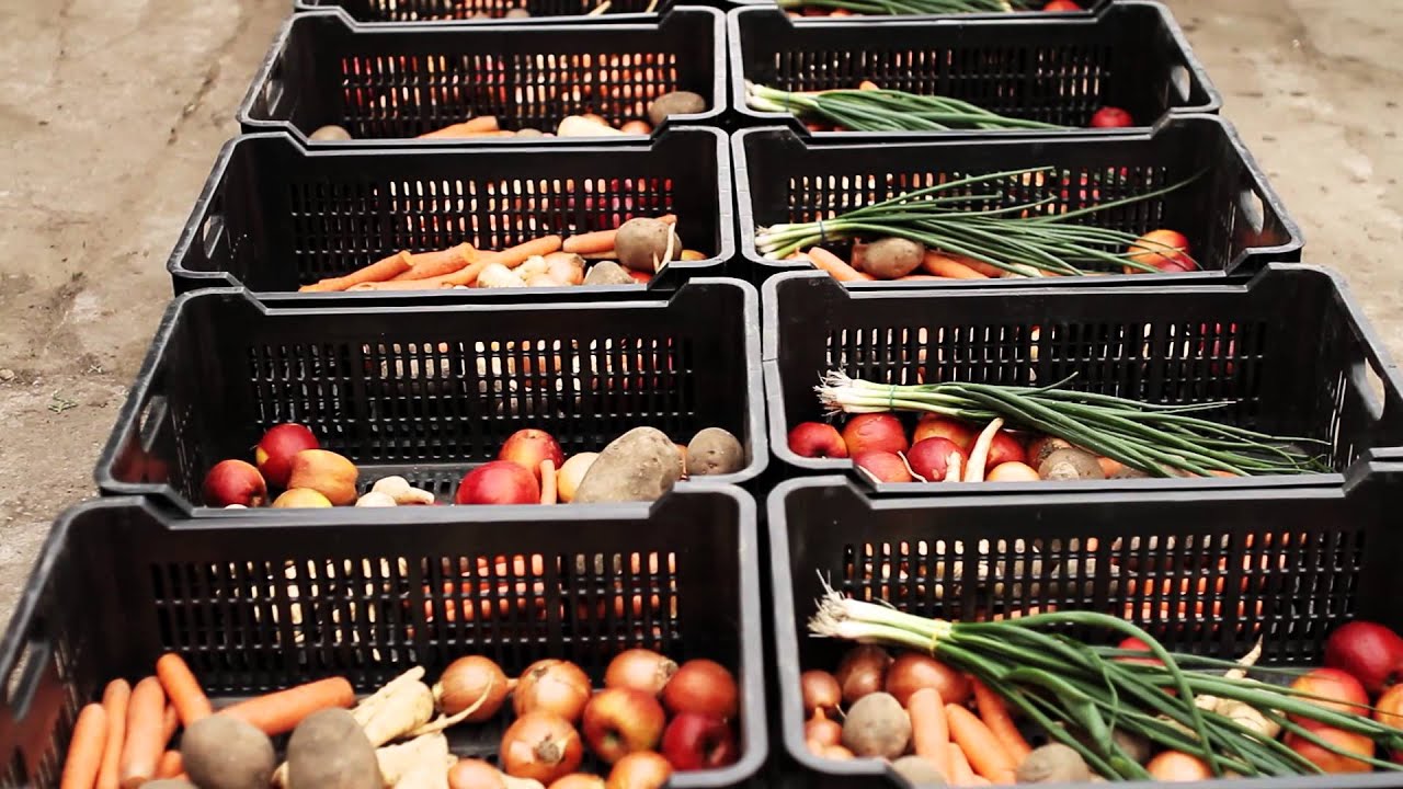 Cargonomia - Cargobike & local food distribution hub - Budapest