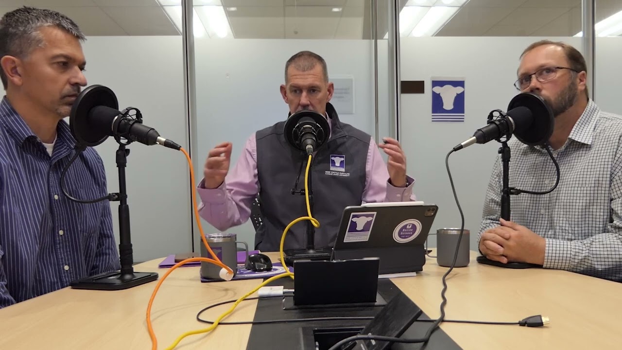 BCI Ask the Experts - Chronically Lame Cow