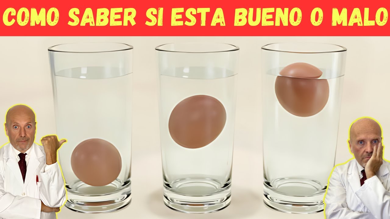 🆘 ¿COMO SABER SI UN HUEVO ESTA BUENO O MALO SIN ABRIRLO O ABIERTO? 🆘